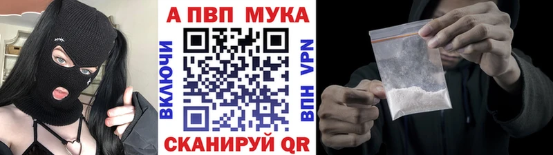 Альфа ПВП СК КРИС  Вытегра 