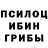 ГЕРОИН хмурый Polli Mi