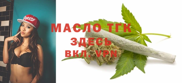 СК Алексин