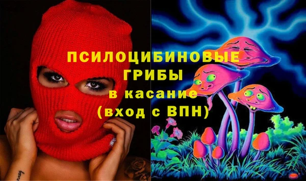прущие крисы Абинск
