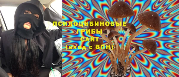 прущая мука Алзамай