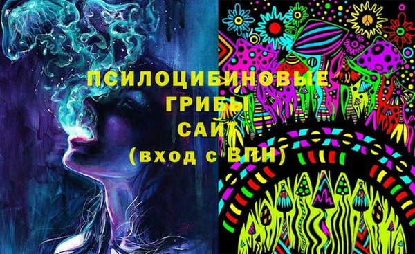 СК Алексин
