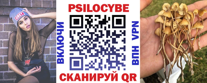 hydra tor Вытегра Галлюциногенные грибы Psilocybine cubensis как найти